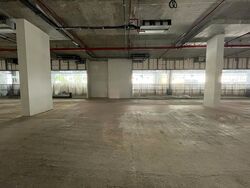 The M (D7), Retail #464483571